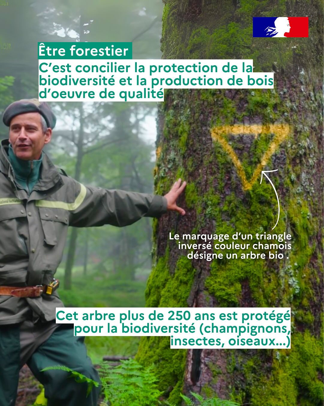 Office national des forêts... - Office national des forêts