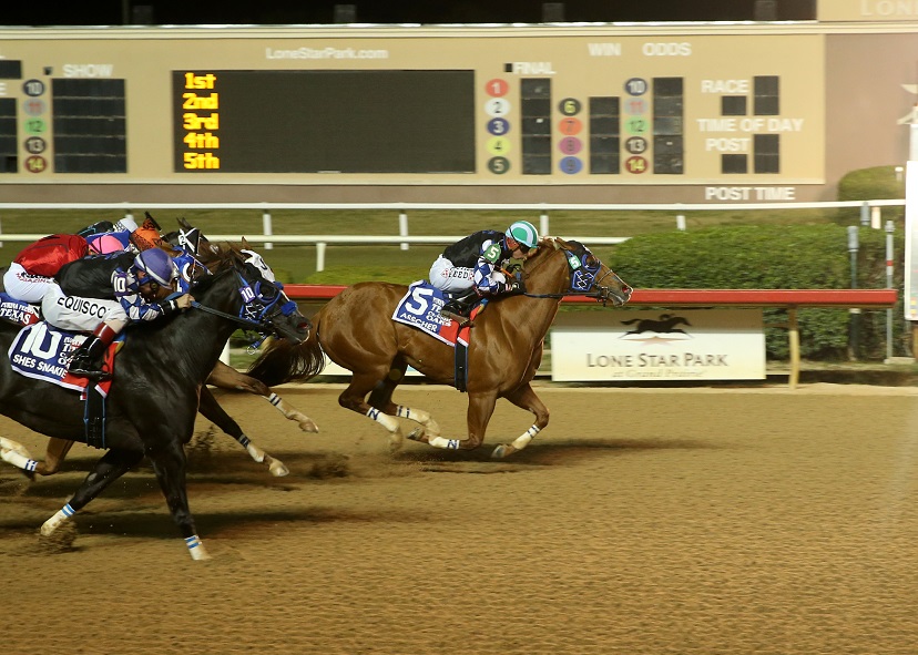Q-Racing - It’s a family tradition: like her dam and... | Facebook
