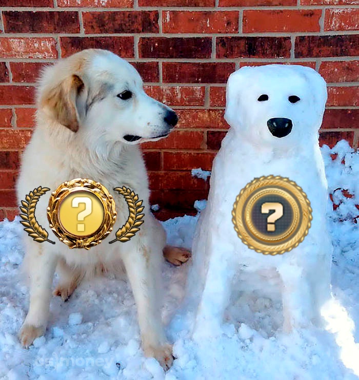Cs.money CS:GO Trading Bot - The new icon is dog 💩 | Facebook