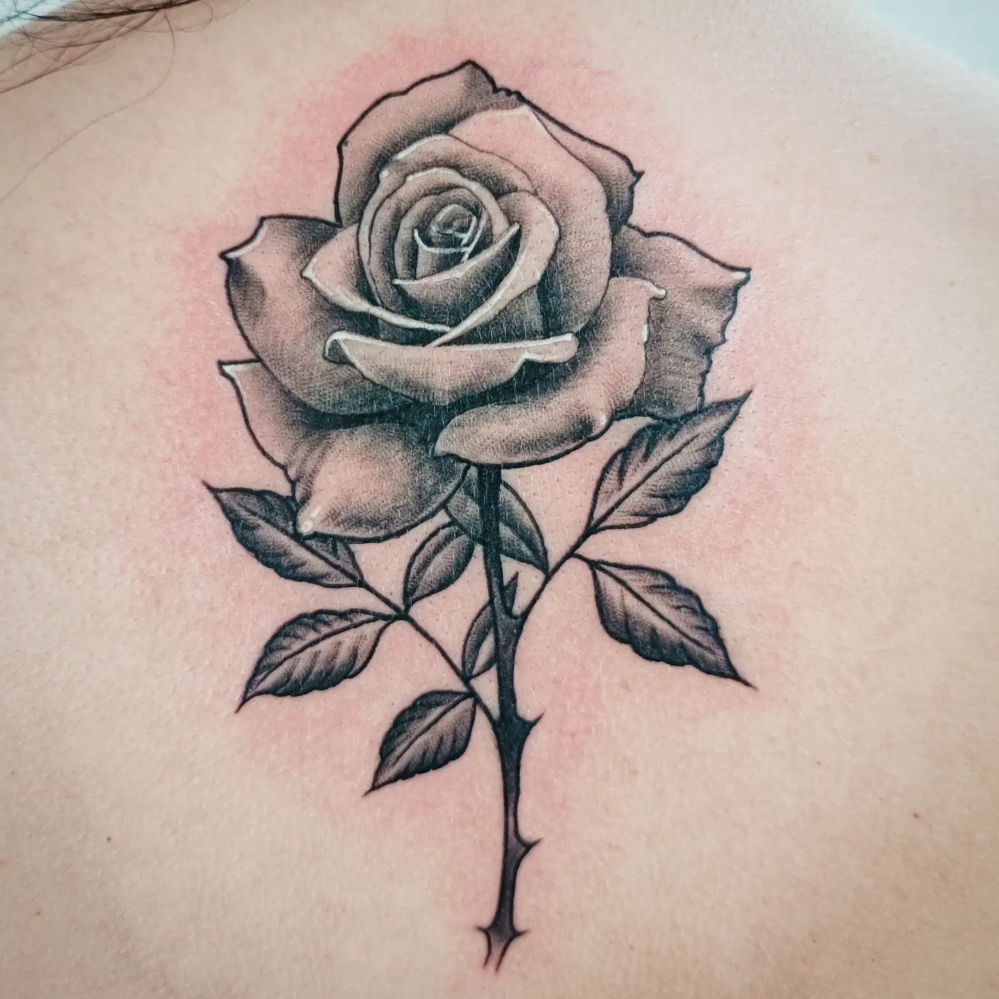 Here's a photo of that tiktok rose I... Tommy Jones Tattoos Facebook