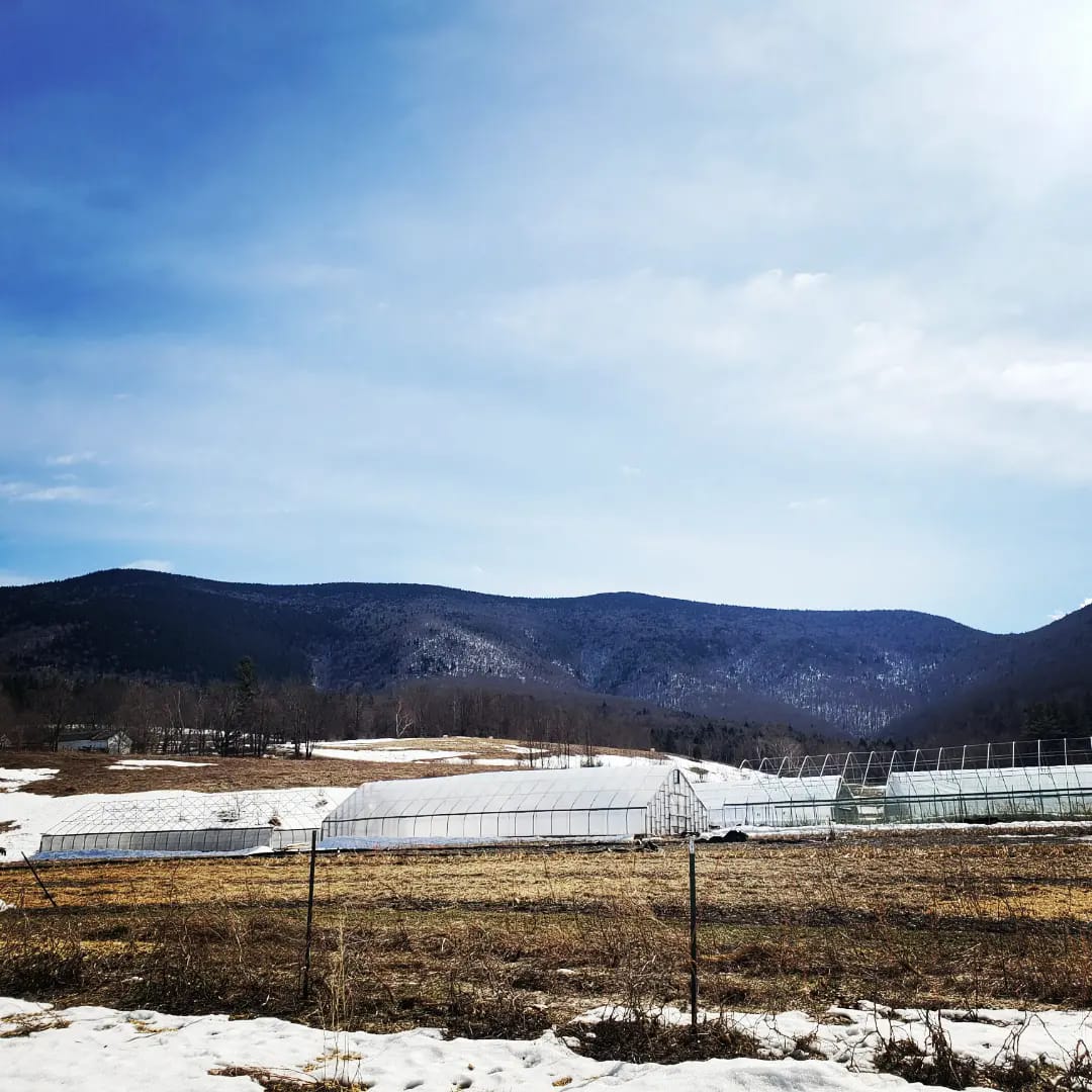 Yoder Farm | Danby VT