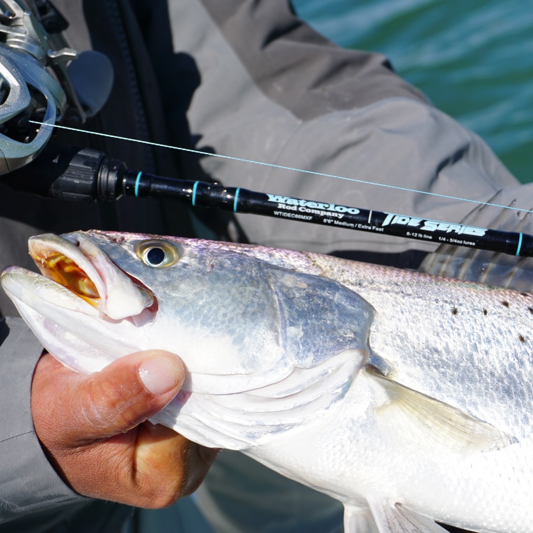 Waterloo Rods | Victoria TX