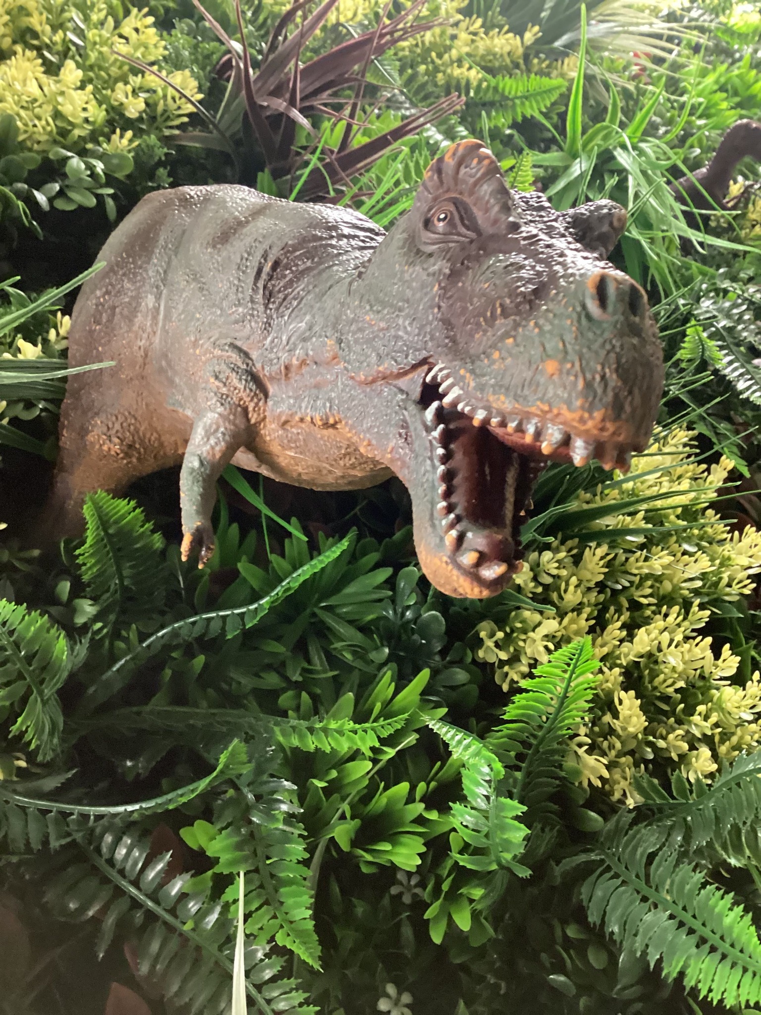 Central Park Nursery | Telford