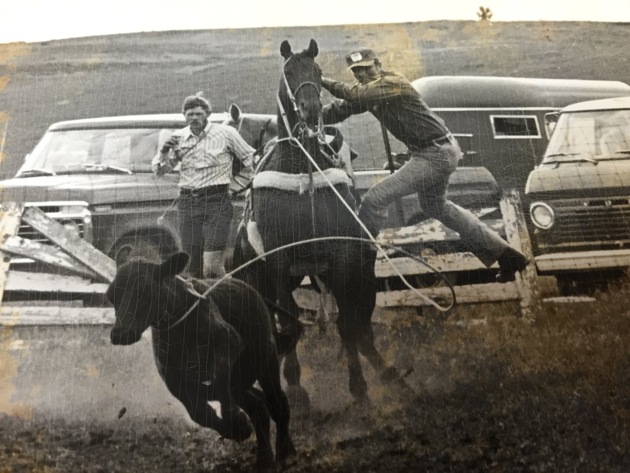 SDSU Rodeo - This year's Buckles and Bling commitee has... | Facebook