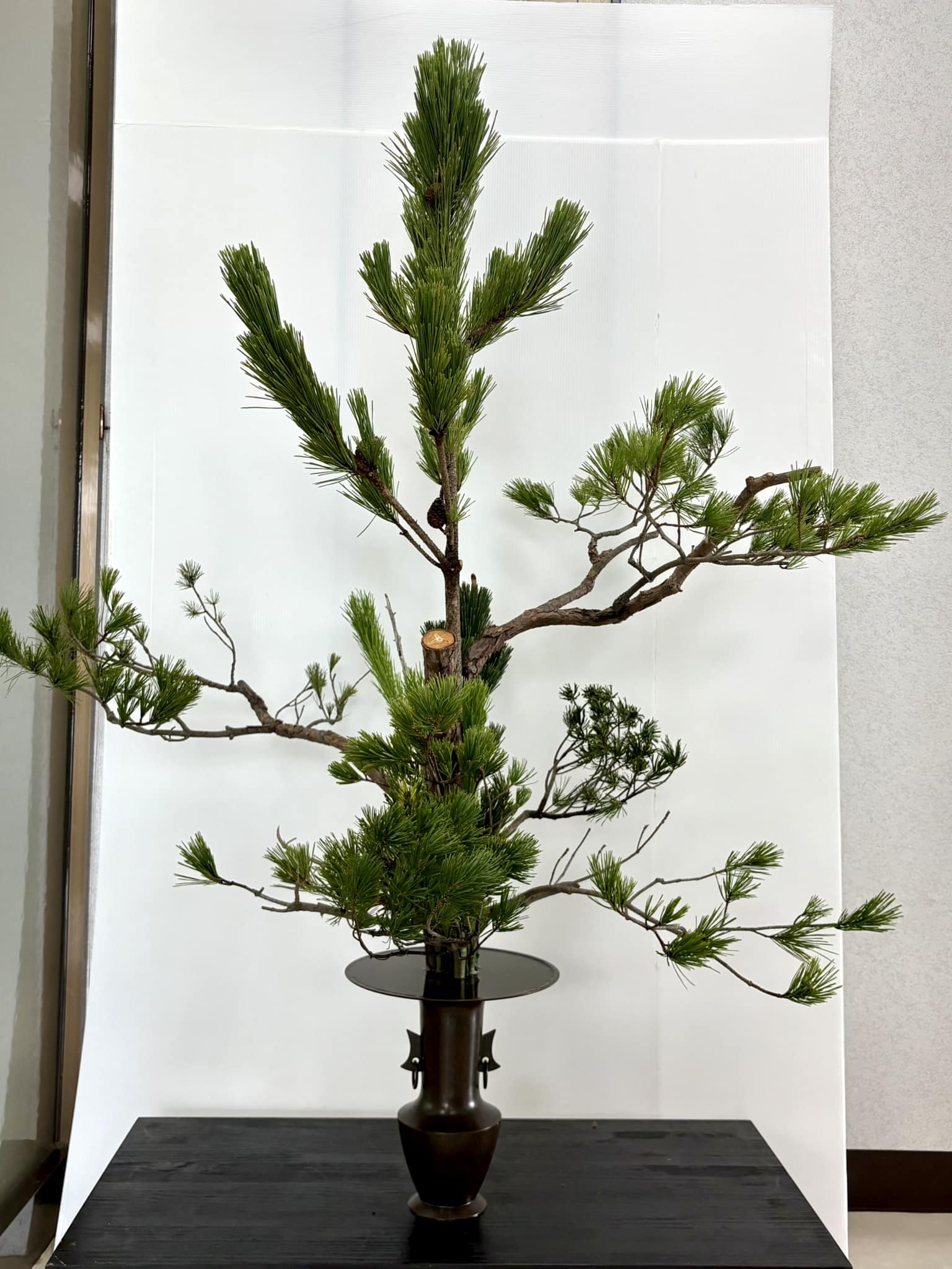 今週の当社玄関の生花 古典立花 松一式