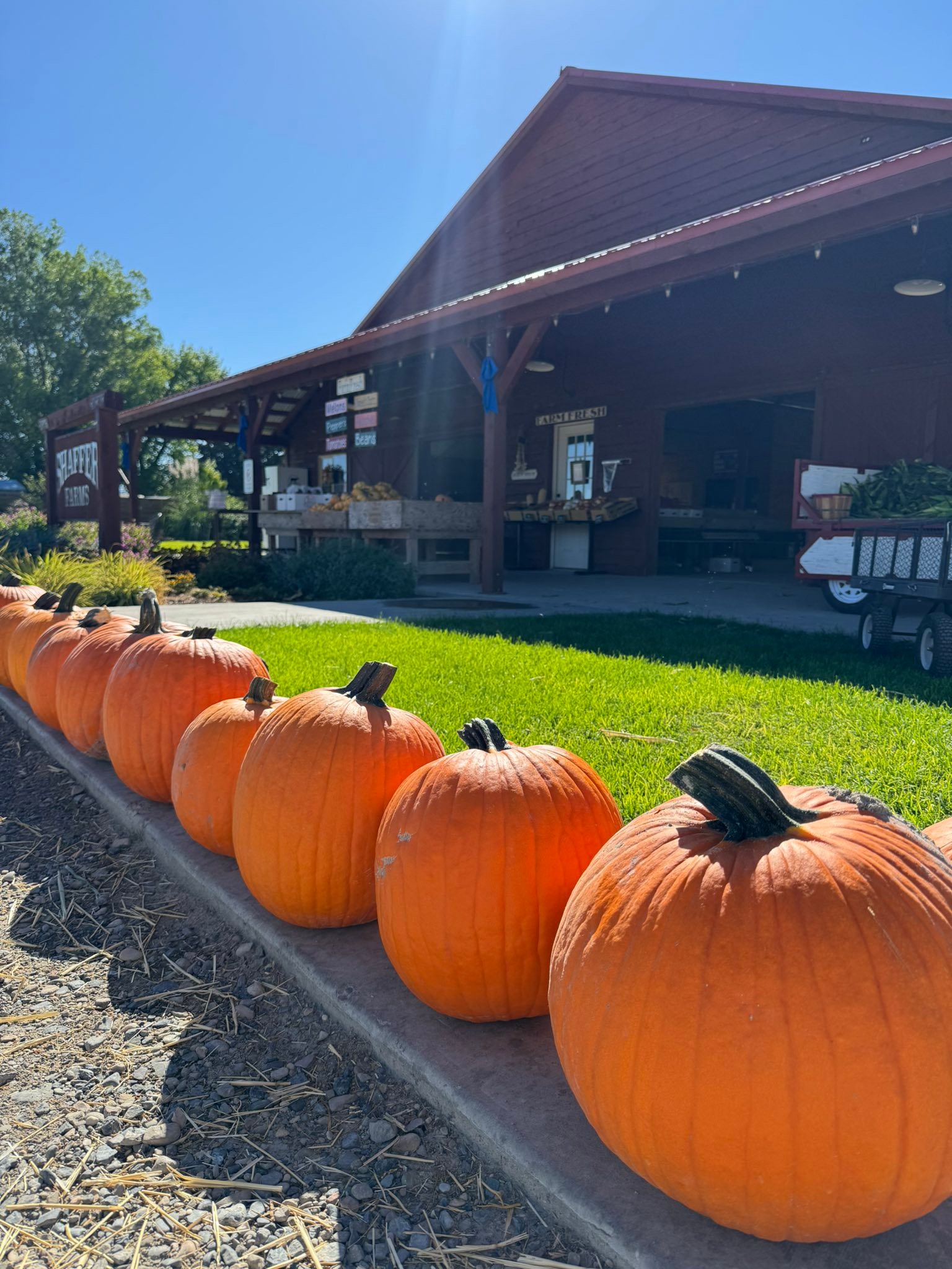 Shaffer Family Farms | Garland UT