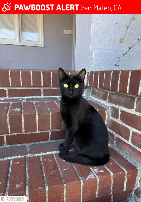 San - 🚨 April was LOST September 16, 2026 in San Mateo, CA 94401