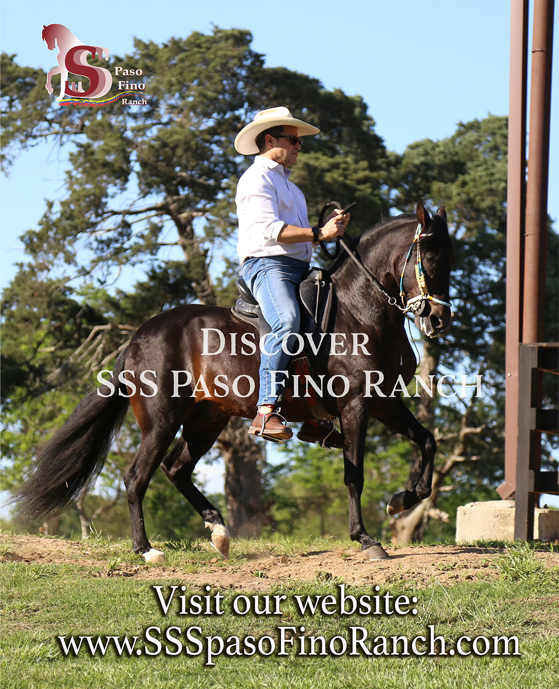 🐴 Welcome to SSS Paso Fino Ranch! 🐴... - SSS Paso Fino Ranch | Facebook