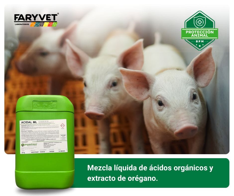 Faryvet - PROTECCION ANIMAL | ACIDAL es una mezcla líquida... | Facebook