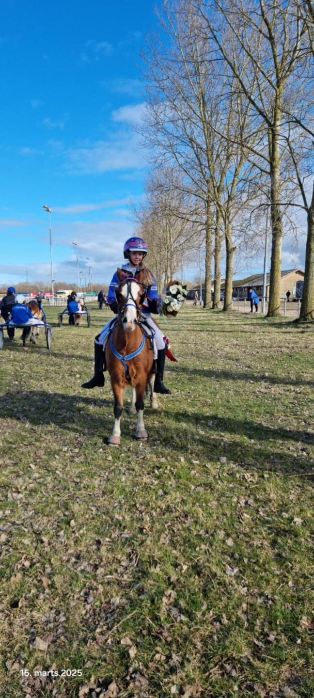 hestesportsforeningen-ikaros-aalborg