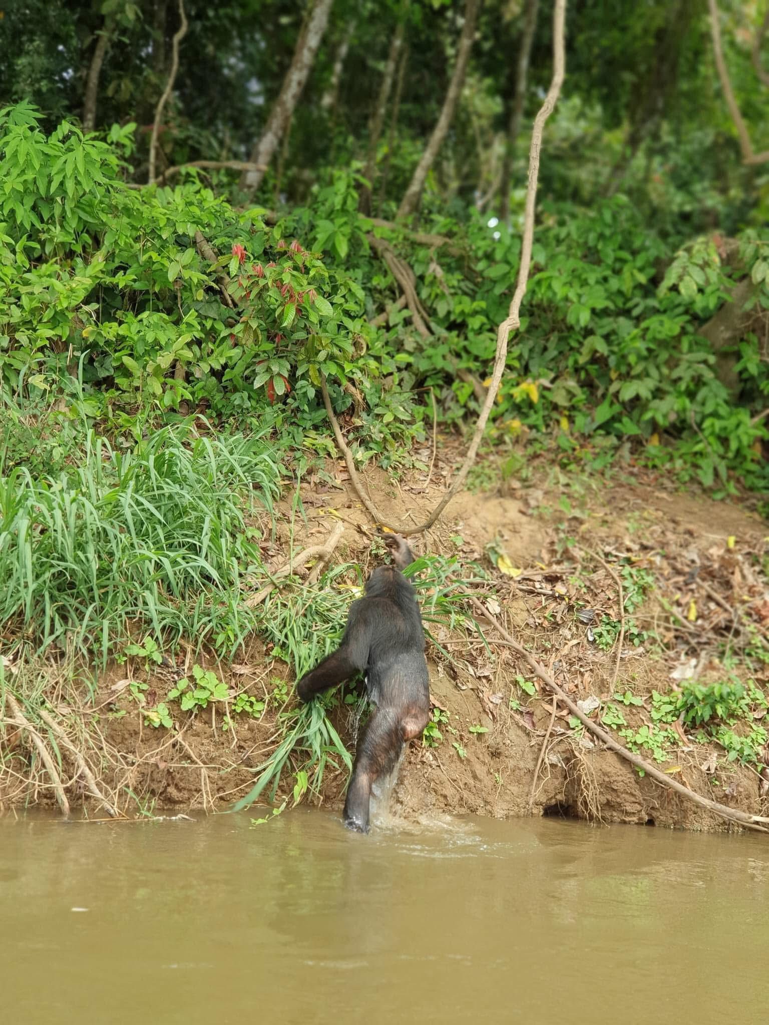 Tourismo Cameroun added a new photo. - Tourismo Cameroun