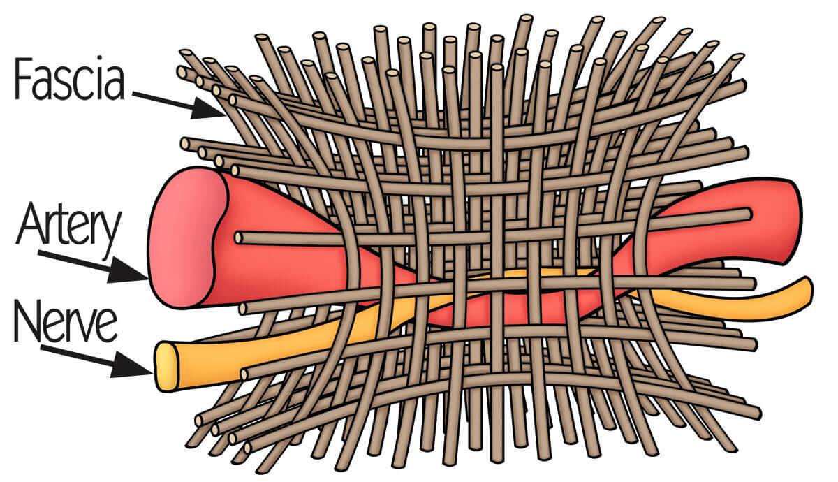 Soft tissue mobilization (STM)... - NeuroKinetic Therapy