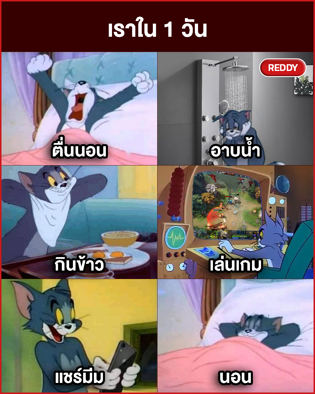 REDDY - หนึ่งวันที่เรียบง่าย 😊 #REDDY #MEME | Facebook