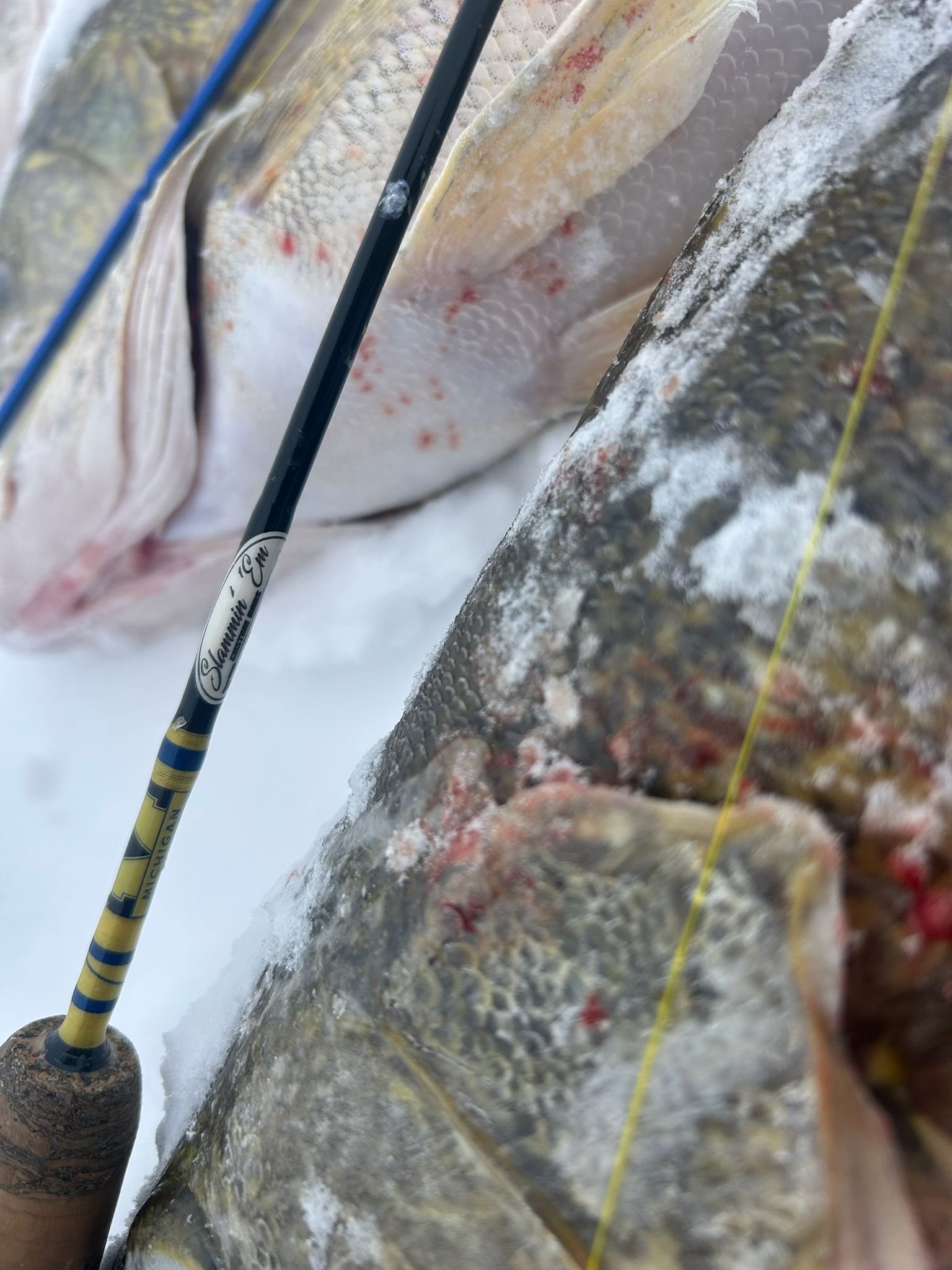 Slammin' 'Em Custom Rods by Mark Bleiler
