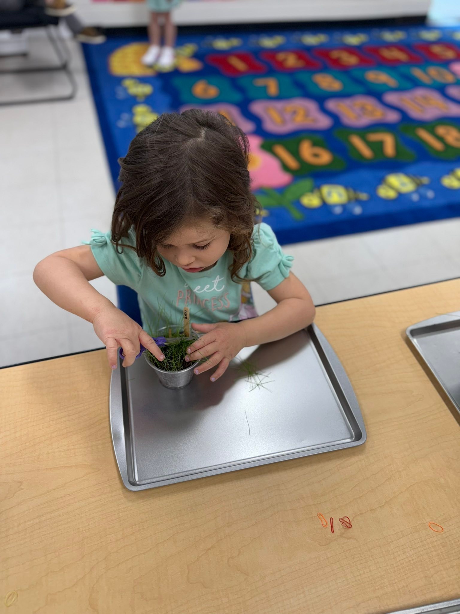 Methodist Day School of Terrell | Terrell TX