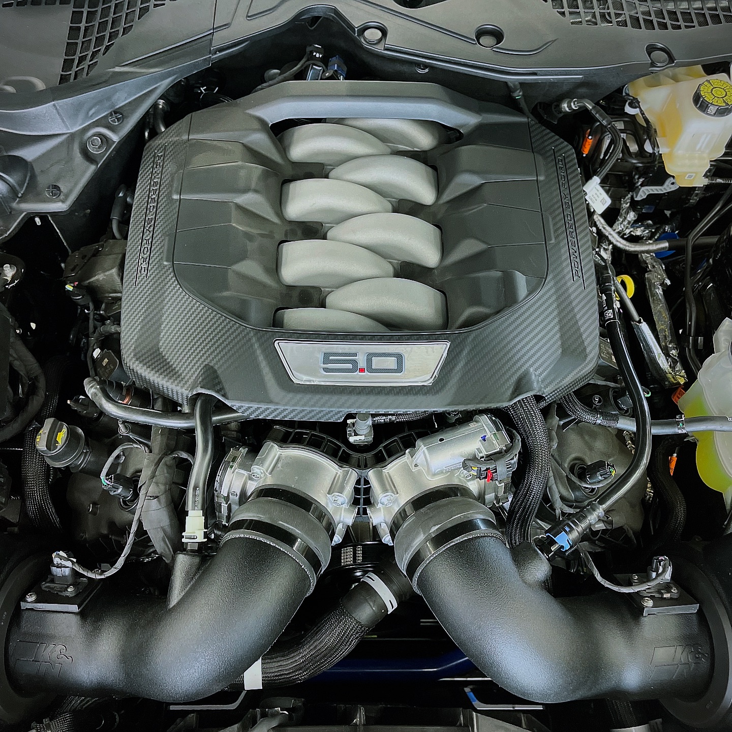Bell Ford | Phoenix AZ