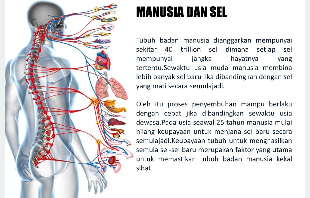 🌺🌺🌺 Setiap inci tubuh... - Sihat itu pasti. Dari Maxxima