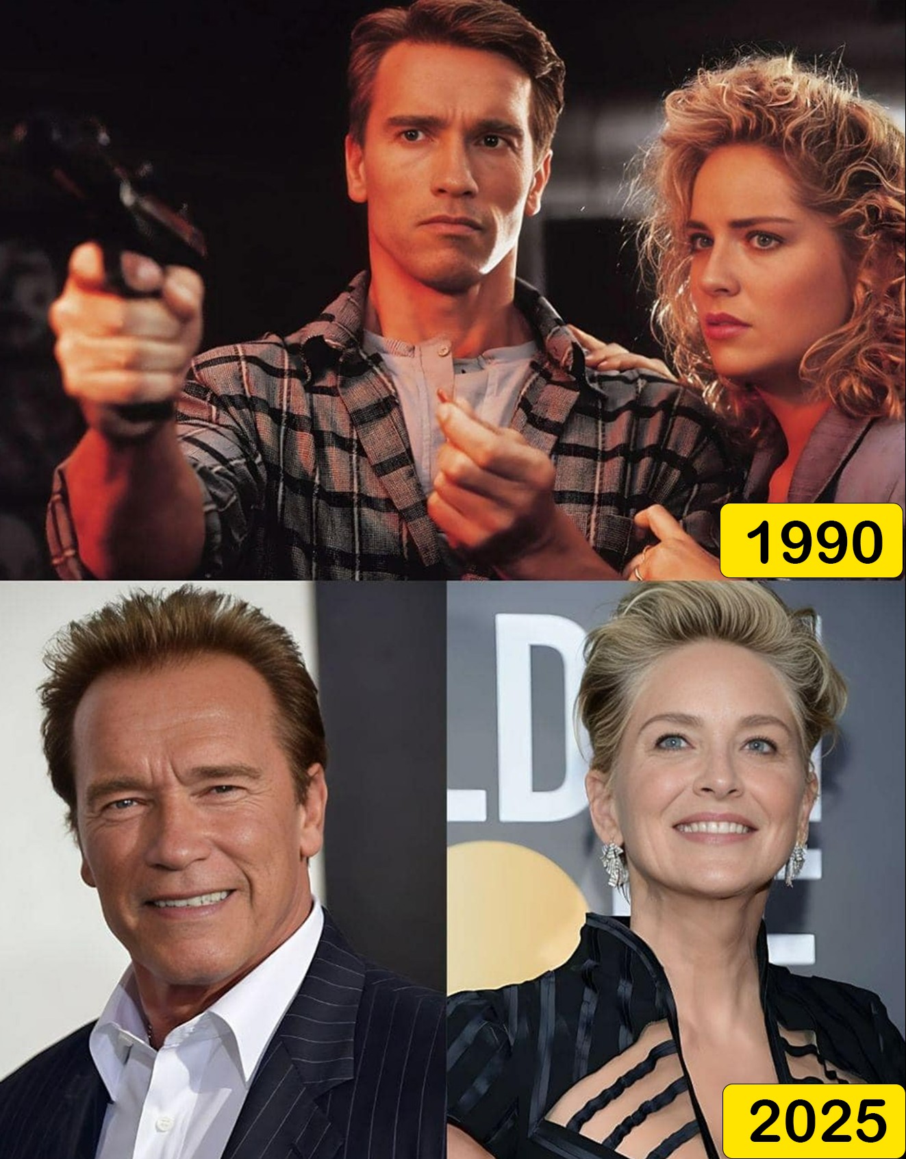 Arnold Schwarzenegger Shne