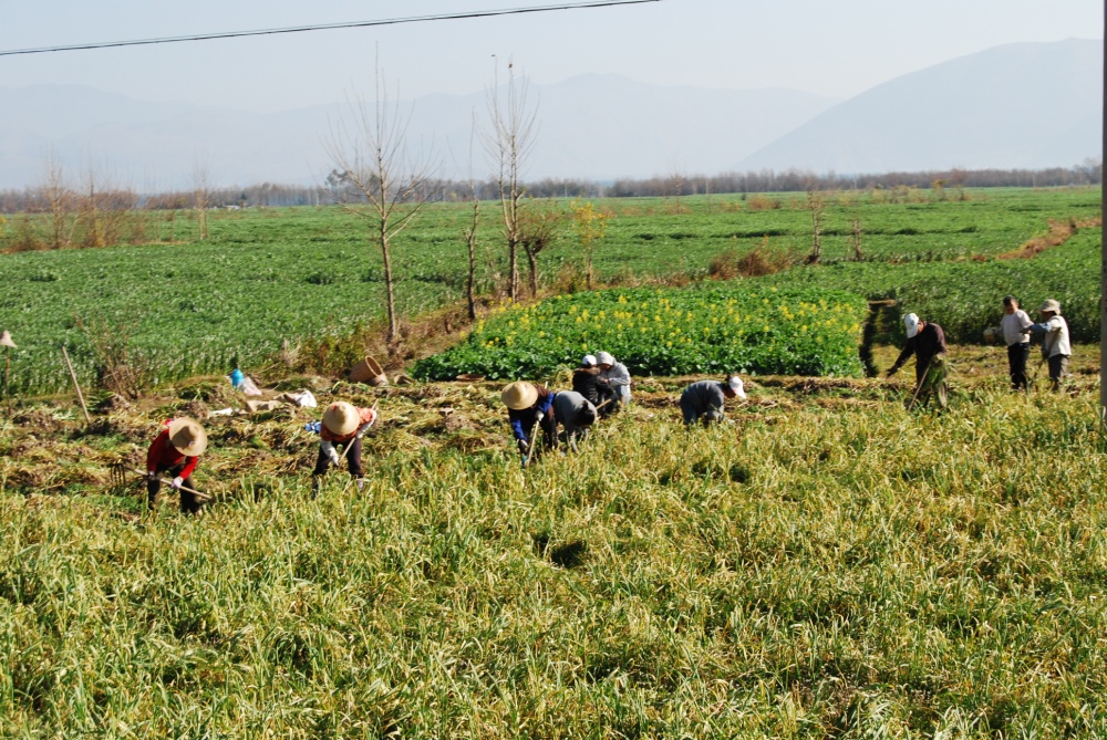 Derechos De Campesinos IRC Turlock | Facebook