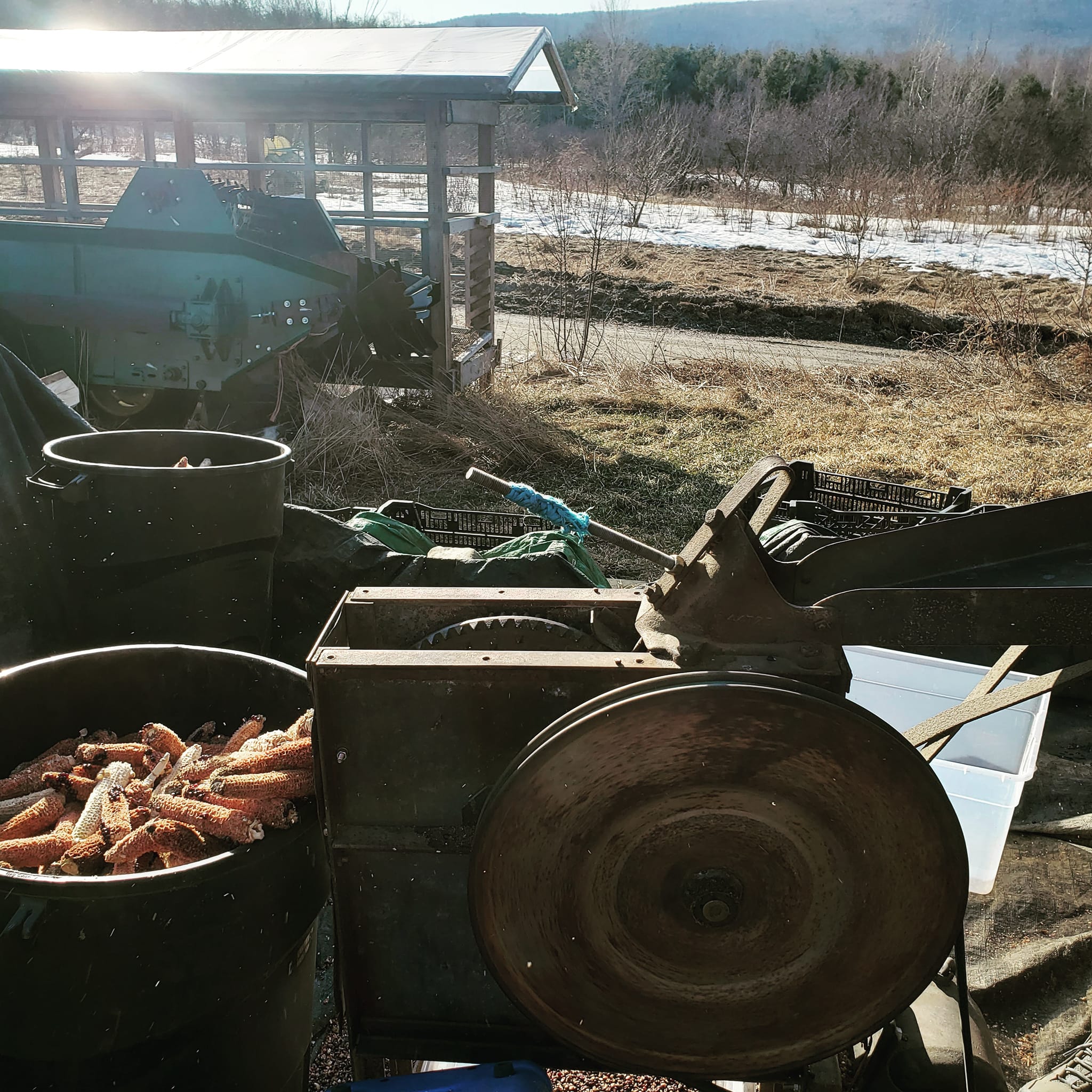 Yoder Farm | Danby VT