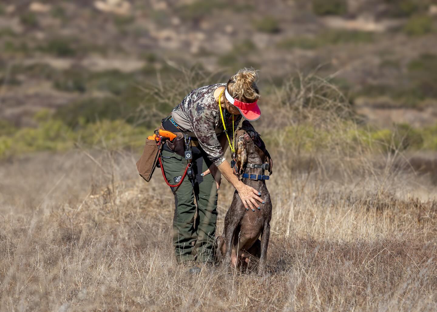 The First 💫... - German Shorthaired Pointer Club of America | Facebook