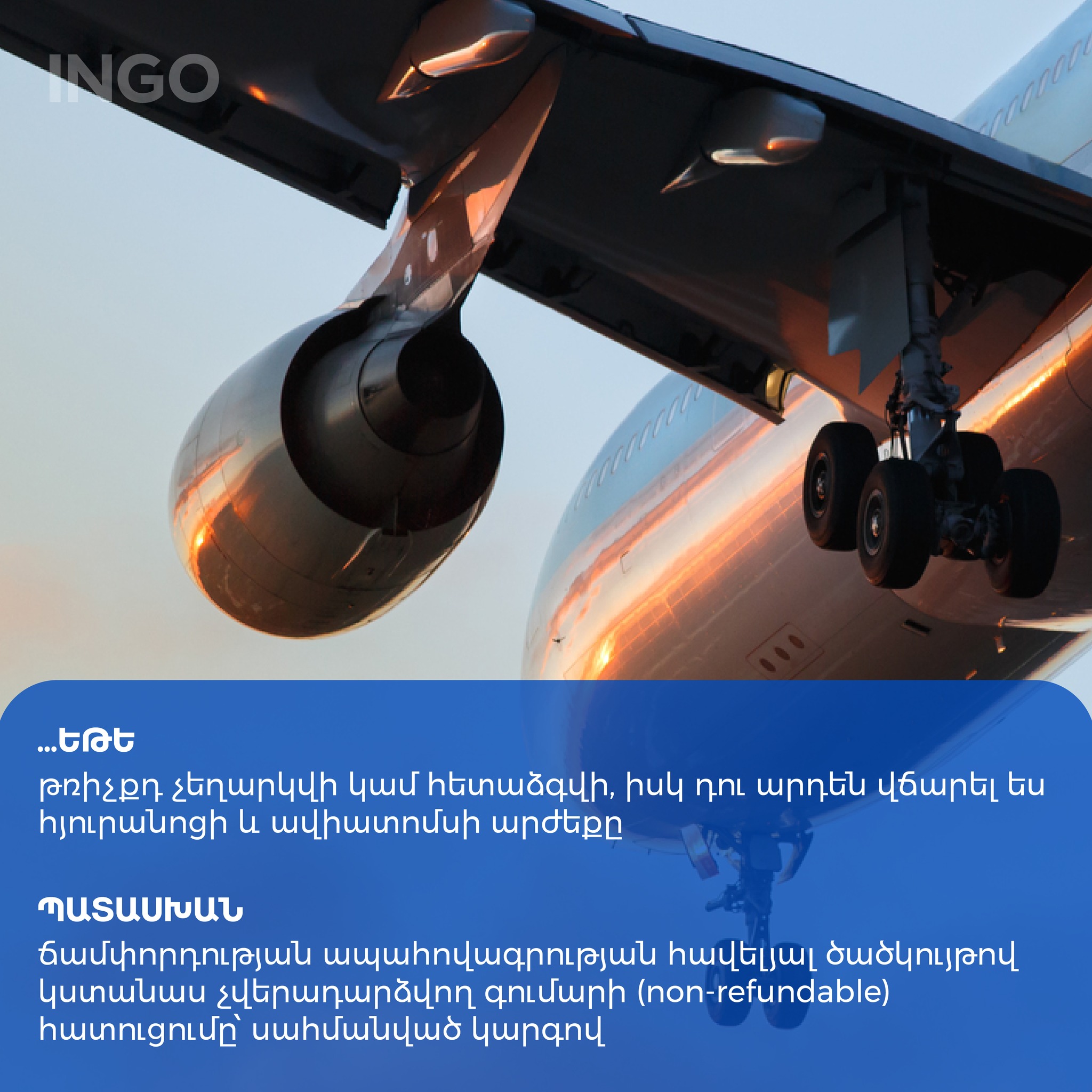 INGO | Yerevan