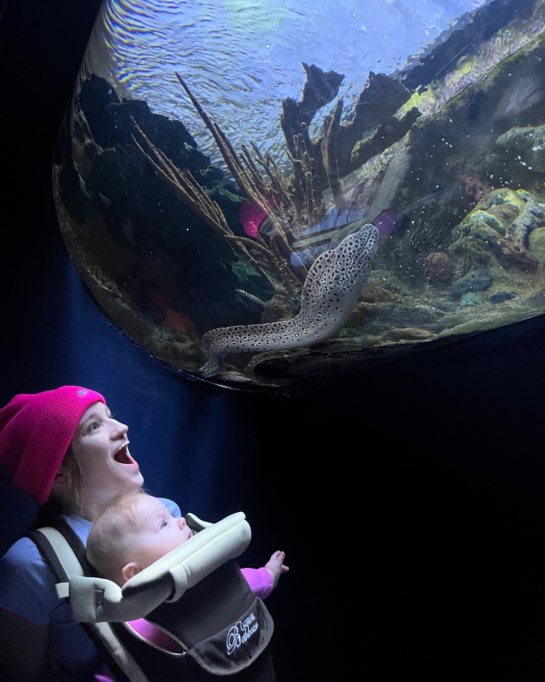 Ripley's - When an eel hits your eye like a big wormy guy, that's a ...