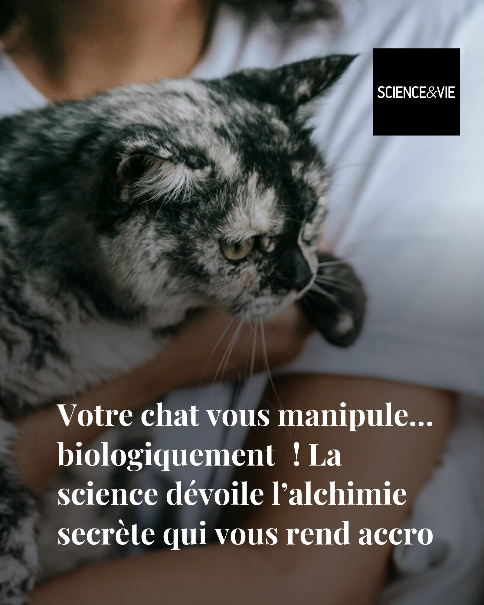 Science - Votre chat : expert en manipulation scientifique 😺 👉 https ...