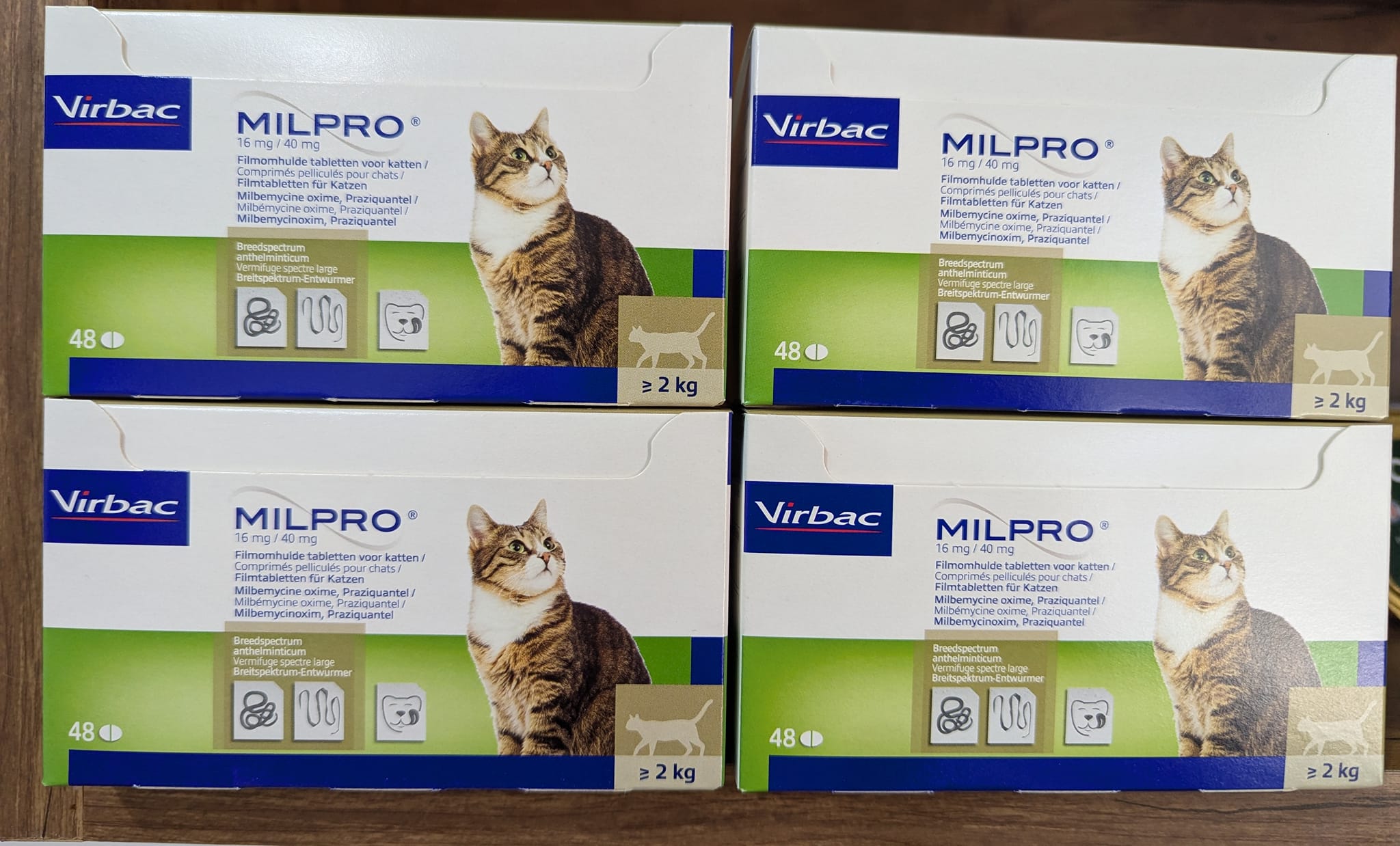 Milpro Chat est de nouveau... - Clinique Vétérinaire El Manar | Facebook