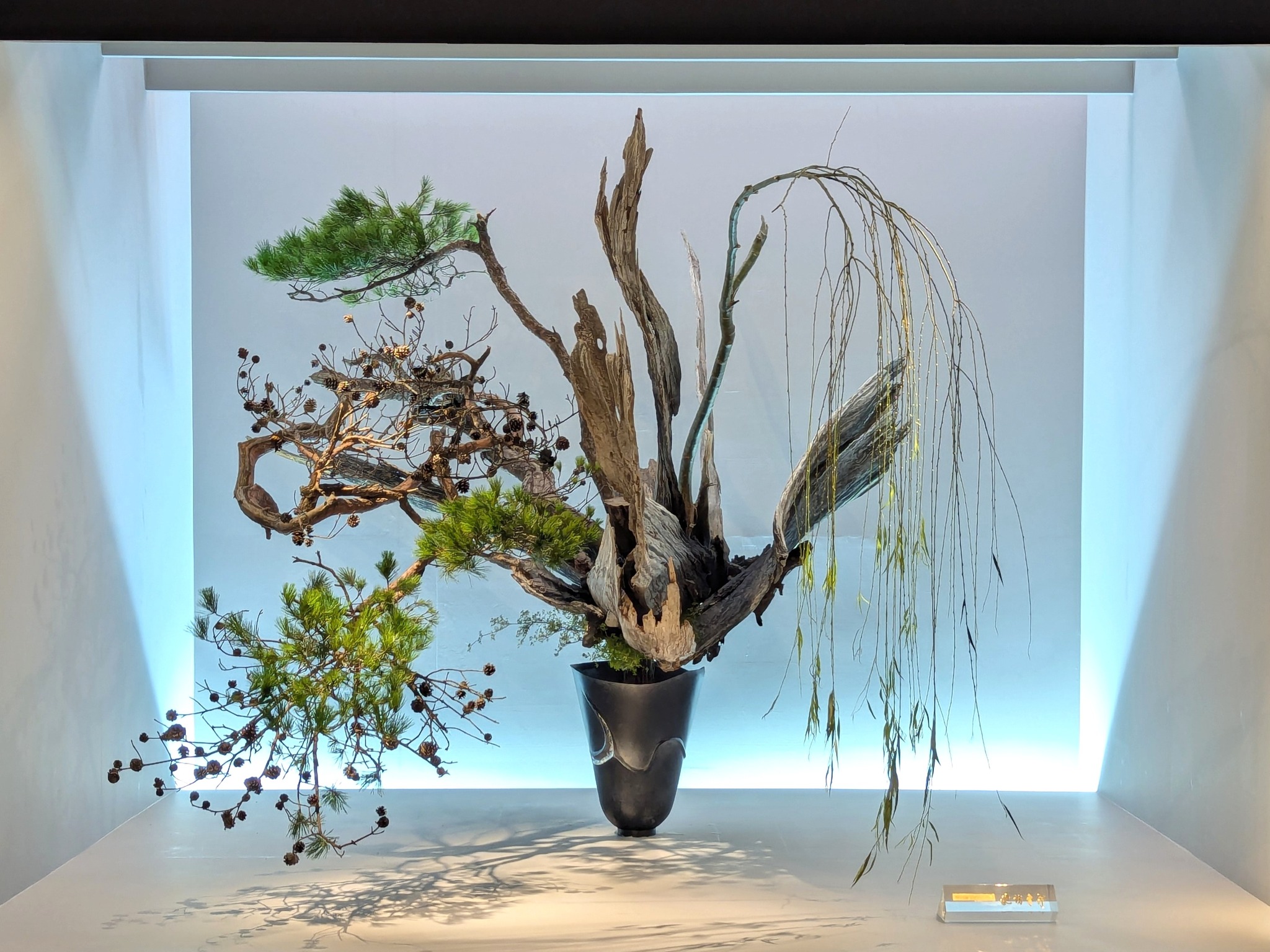 いけばな池坊 ikebana - 生花正風体（変化形） 「二重生け」 二重切