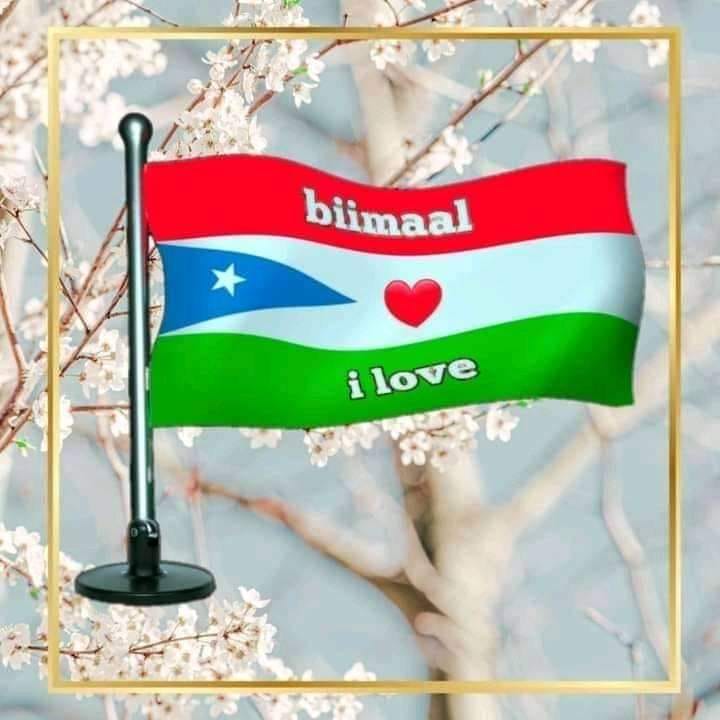 Golaha Hogaanka Beelaha Biimaal