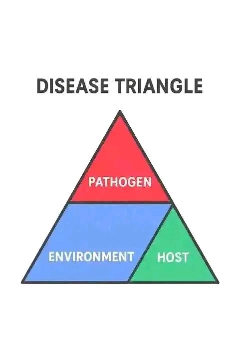 Farmers #Trend - The Disease Triangle 🌱 Plant diseases... | Facebook