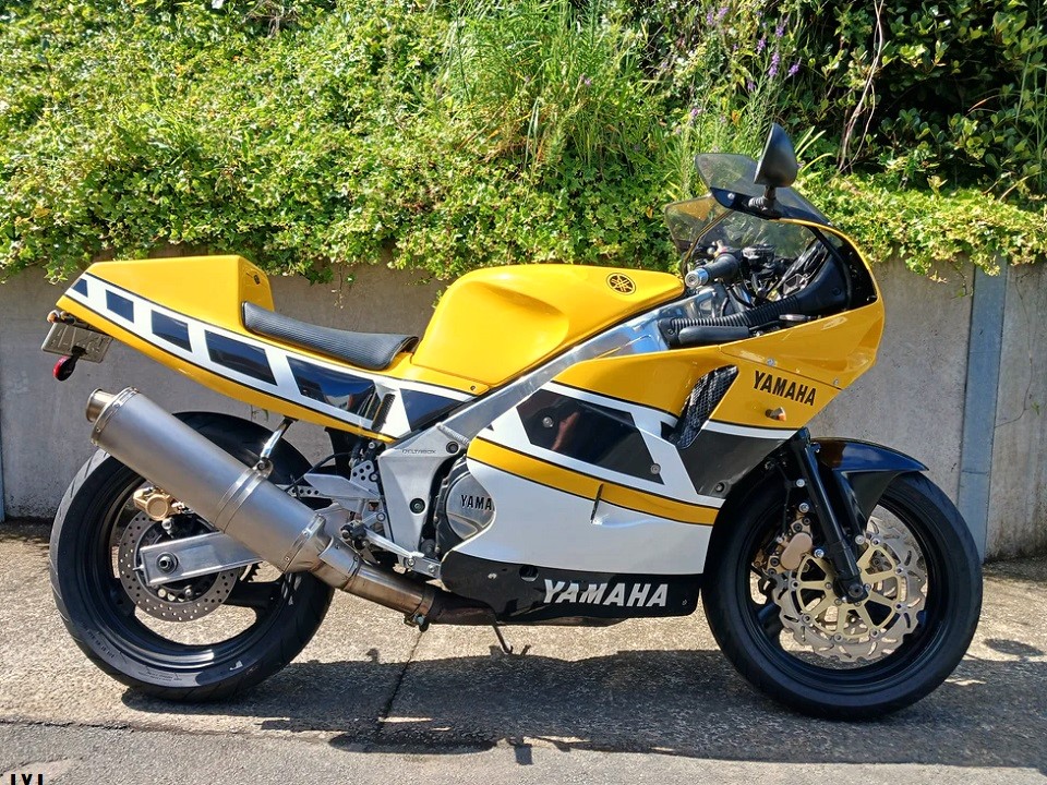 YAMAHA FZR 1000 EXUP GENESIS!