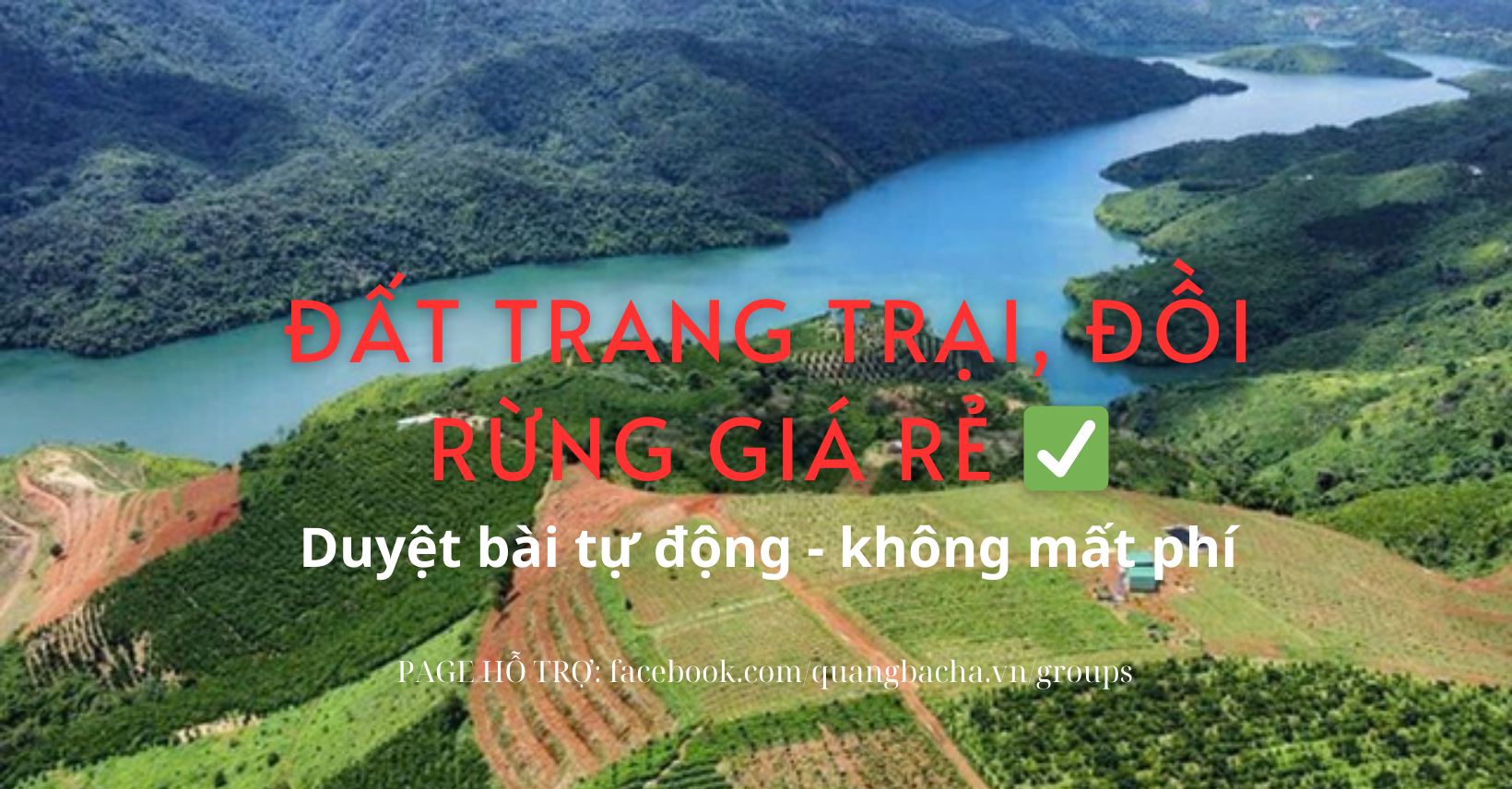 ĐẤT TRANG TRẠI, ĐỒI RỪNG GIÁ RẺ | Facebook