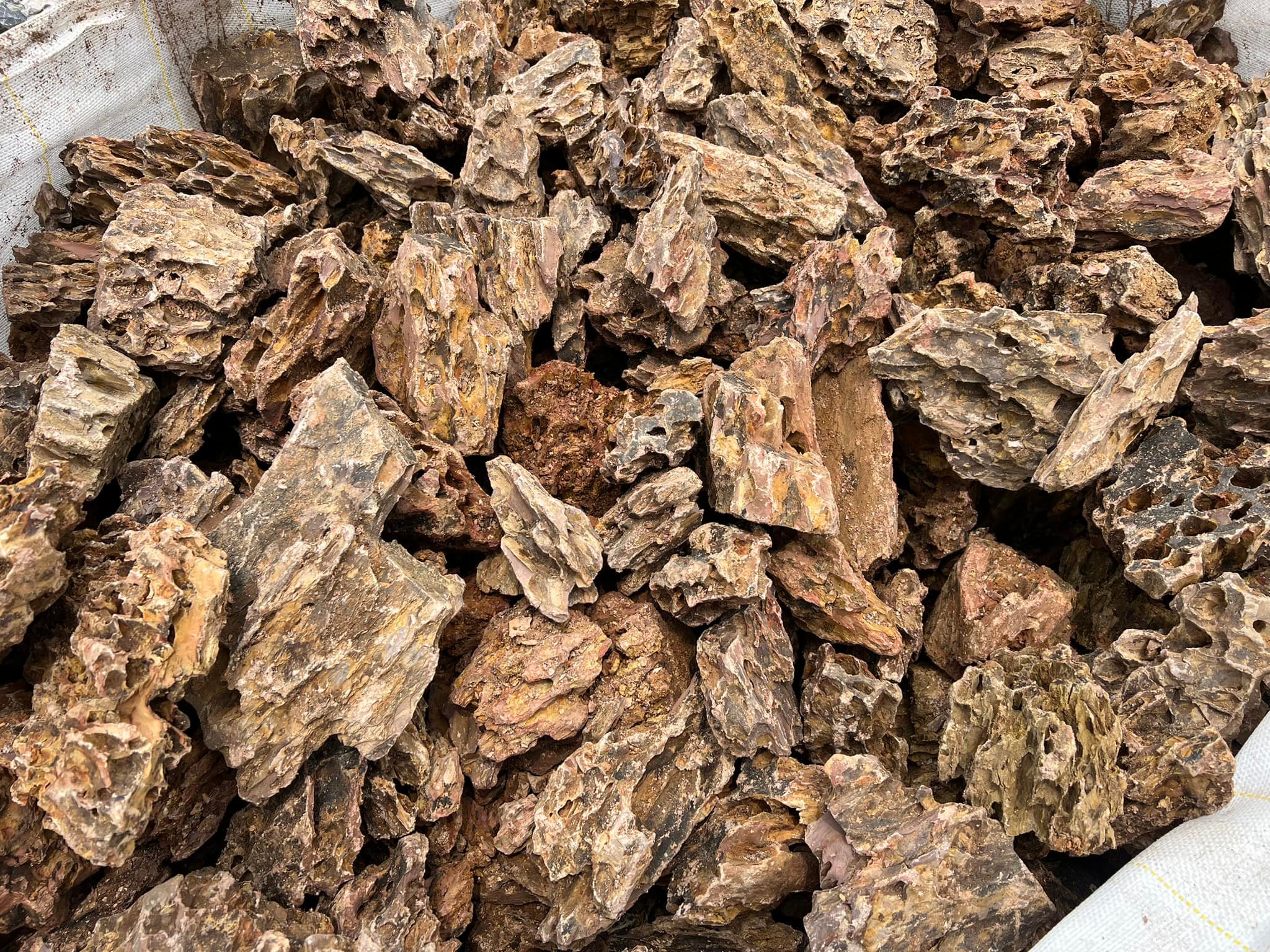 新到貨！！！ 虎皮石（松皮石） 石皮似松，顯出樹樁的蒼勁渾雄， 形如 