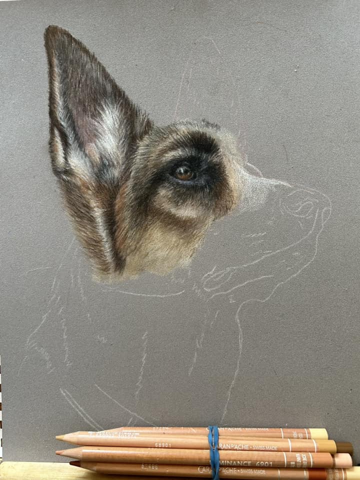 Mary Riley Fine Art