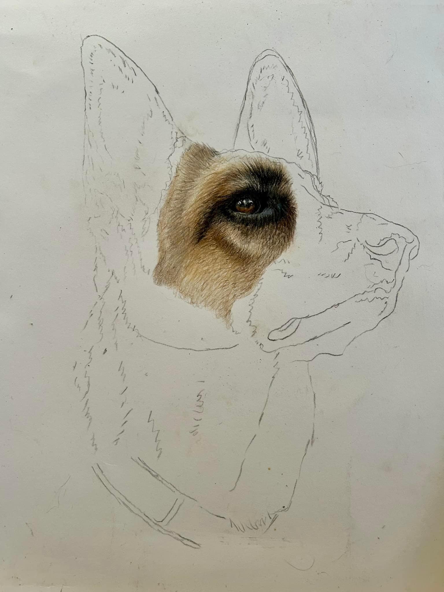 Mary Riley Fine Art