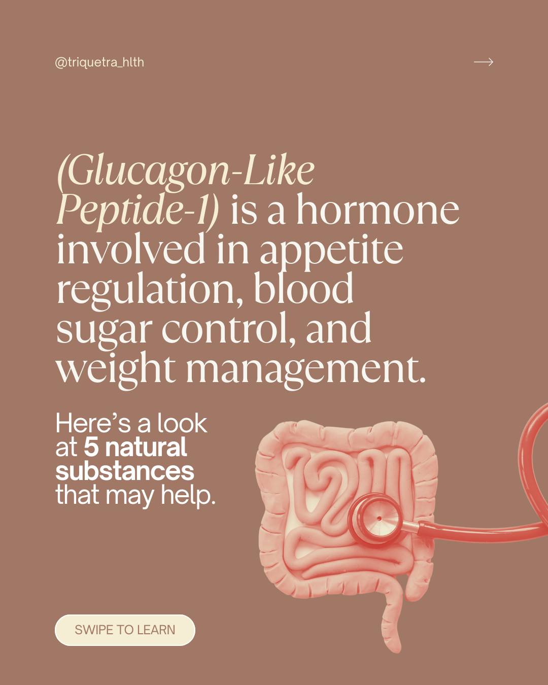 what is your glp 1 hormone GLP-1: Another Making the Case for Paleo Natural GLP-1 Support & Cravings