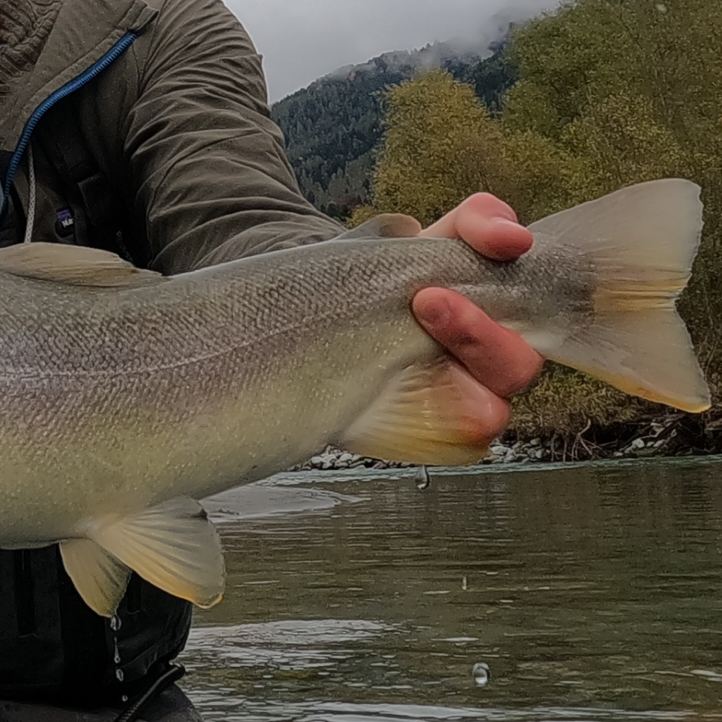 Fishing Alto Sarca