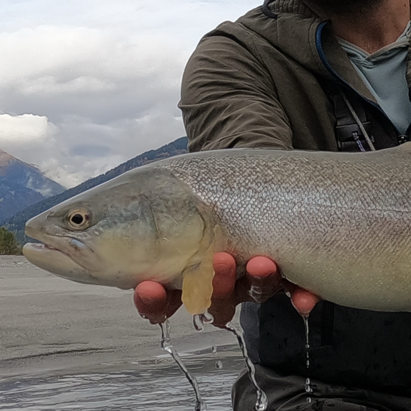 Fishing Alto Sarca