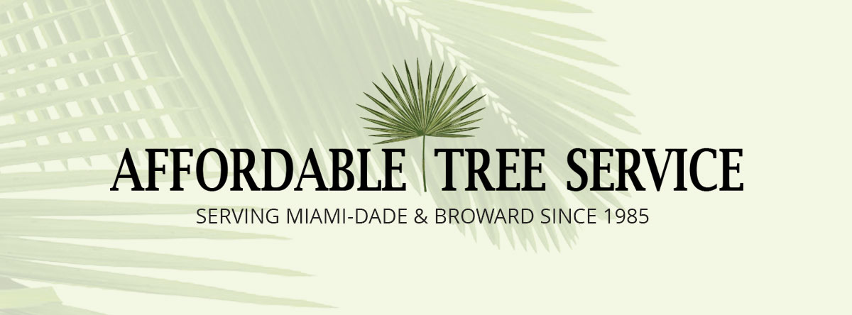 Affordable Tree Service Inc. - Tree Service Miami Dade & Broward ...