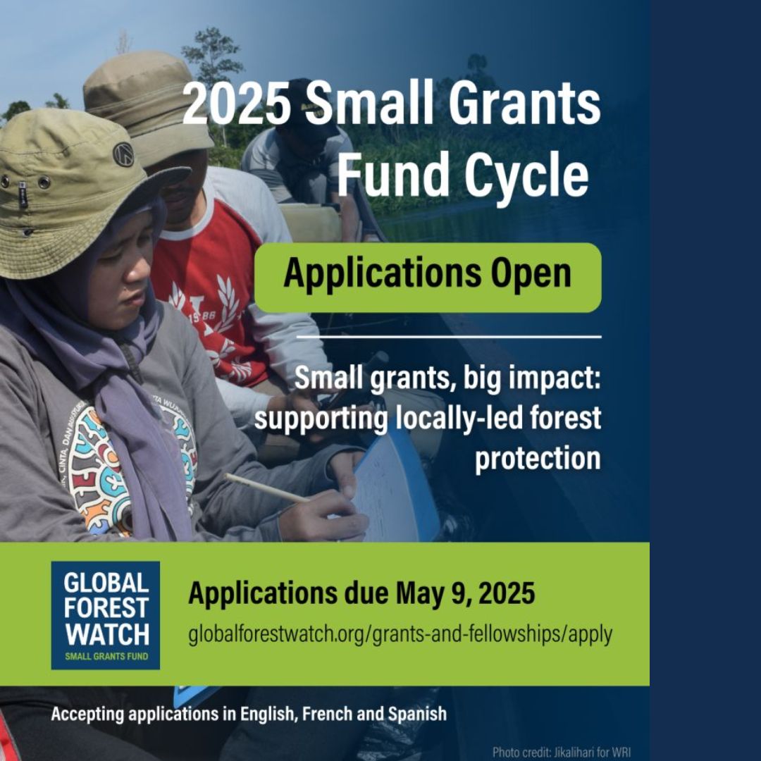Apply Now – 2025 Global Forest... - Opportunities For Youth | Facebook