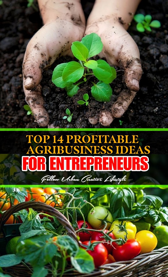 Urban - TOP 13 Profitable Agribusiness Ideas for Entrepreneurs Maraming ...