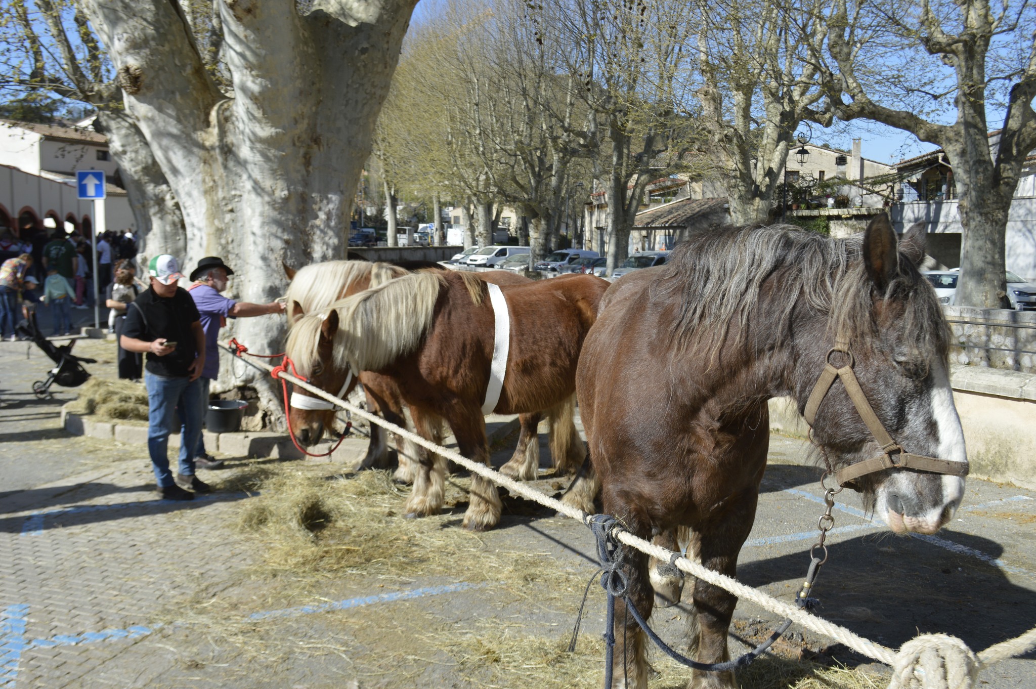 Groupe Saint Eloi Auriol added... - Groupe Saint Eloi Auriol