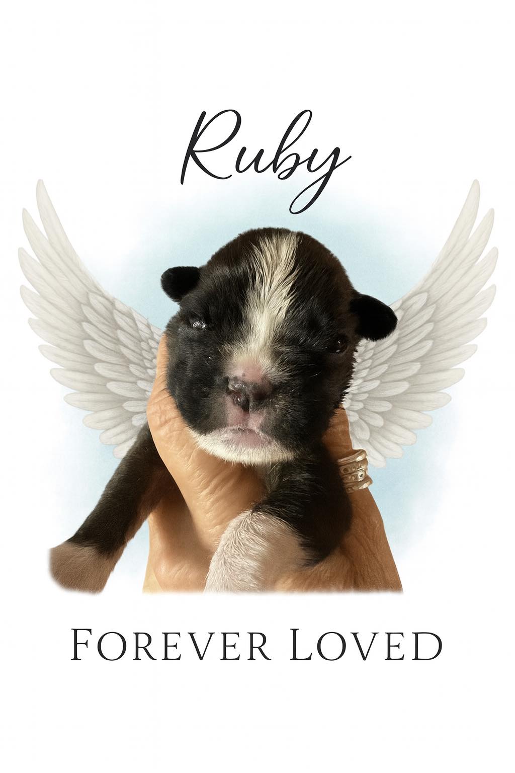 🌹 In Loving... - Fur-Ever Able Dog Rescue and Rehab- Canada | Facebook