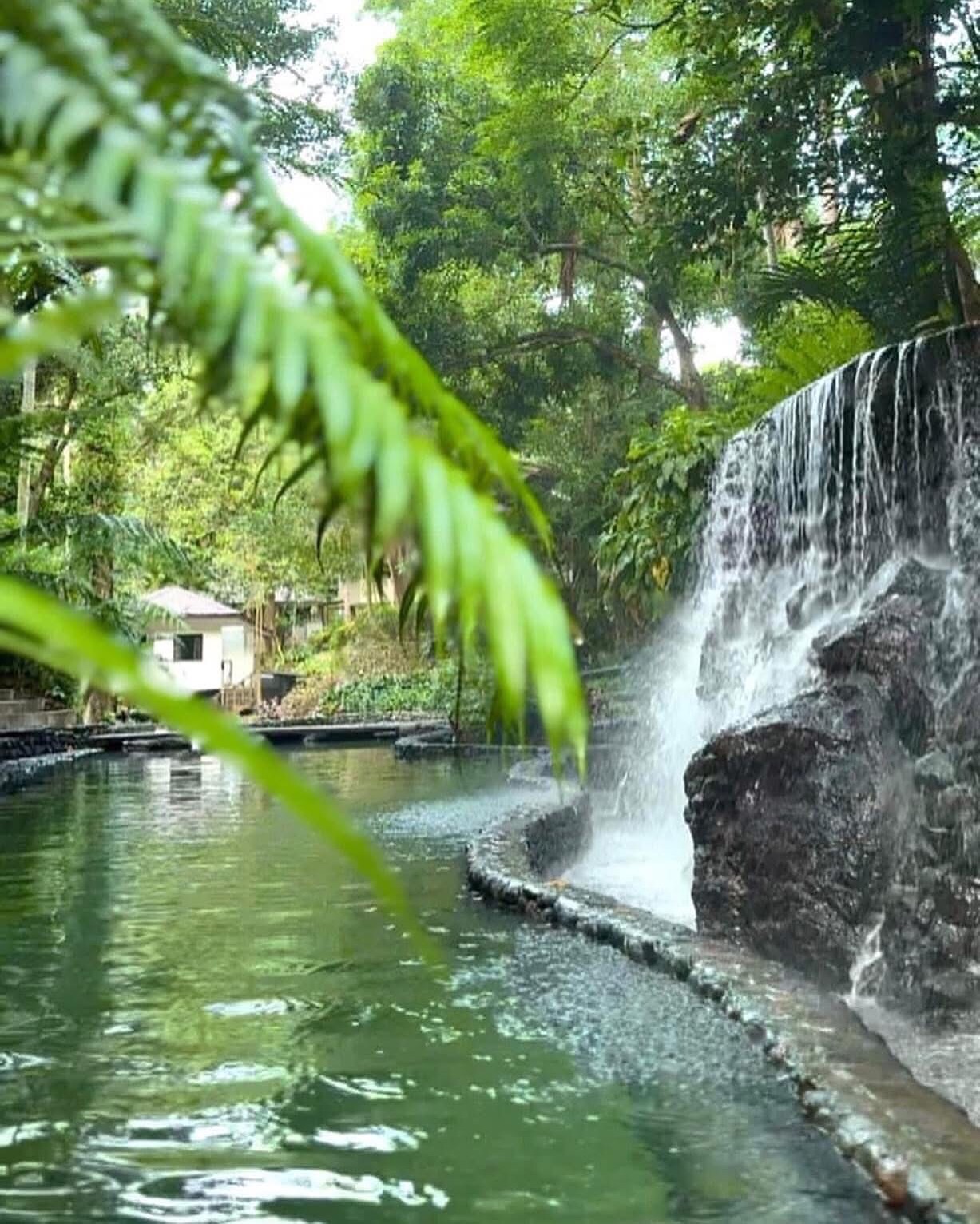 Bato Springs Resort | San Pablo City