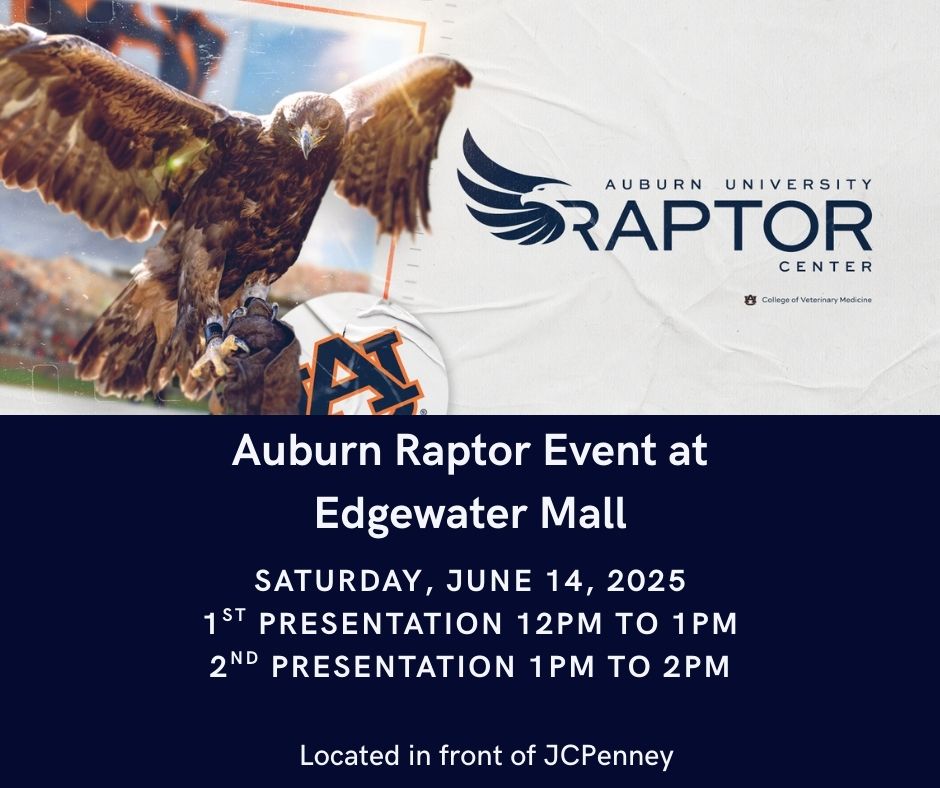 Edgewater Mall - 🎉 Auburn Raptor Event at Edgewater Mall 🦅... | Facebook