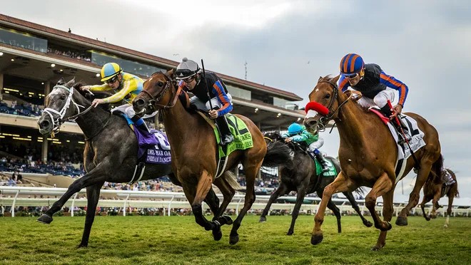 Hong Kong and Group 1 Racing with the Sheik Of Sha Tin - Hong Kong ...