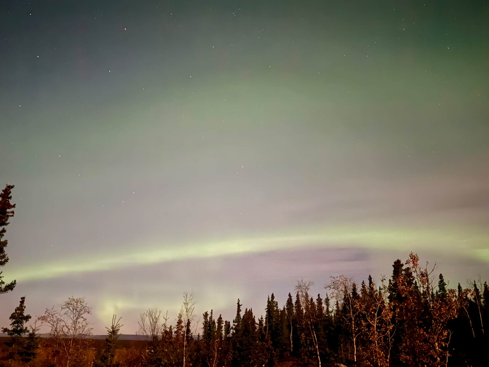 Northern Lights visible in Delta Junction, AK on 9/24/26