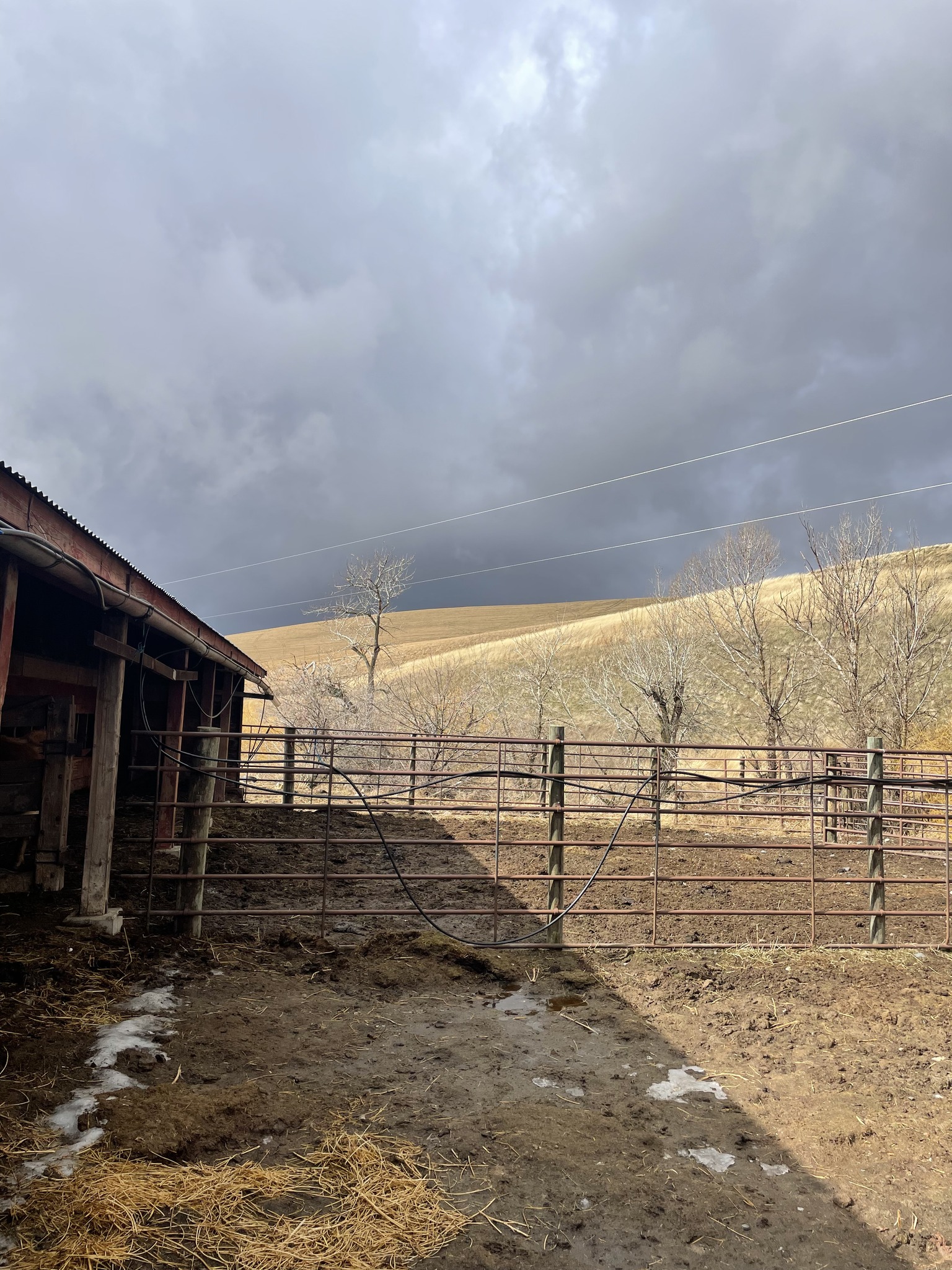 Three Acre Ranch | Prescott WA